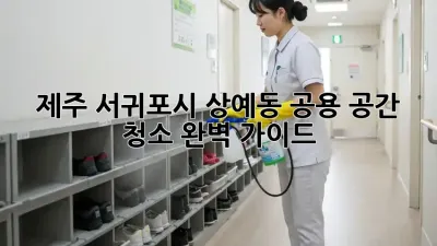 제주 서귀포시 상예동 공용 공간 청소 완벽 가이드